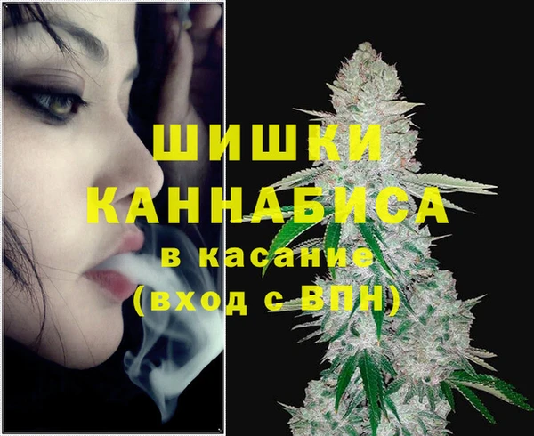 гидра Верхний Тагил