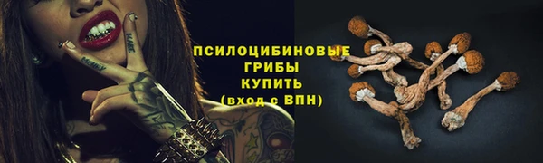 гидропоника Володарск