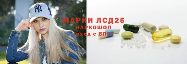 гидра Верхний Тагил