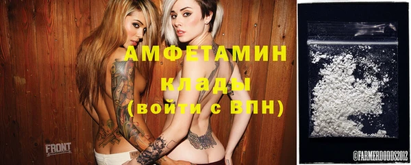 гидра Верхний Тагил