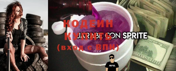 гидра Верхний Тагил